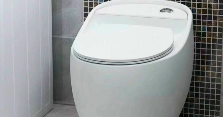 Có nên sử dụng bồn cầu Trung Quốc hay không??