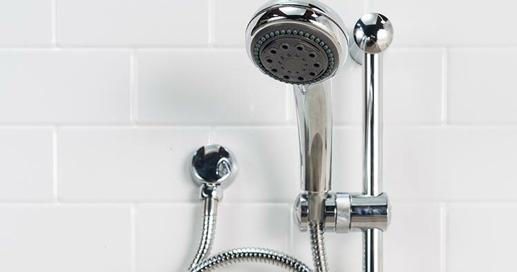 Sen tắm – Làm sao để bảo quản sen tắm bền lâu đúng cách
