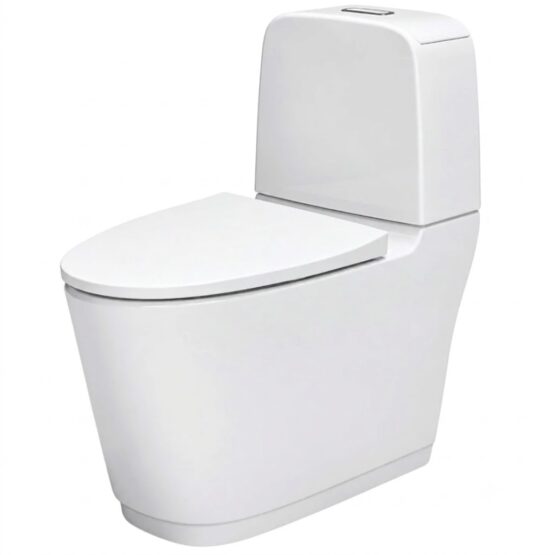 Bồn Cầu INAX AC-842VN (AC842VN) 2 Khối Xả Nhấn Aqua Ceramic
